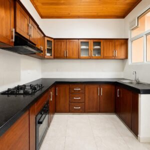 Nexus Tower 3 bedroom rental Nelson Place Colombo 06
