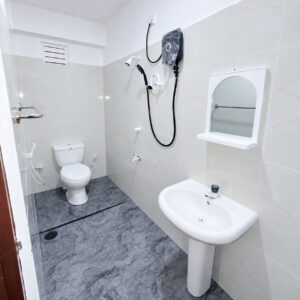 spacious nine bedroom rental Colombo 08